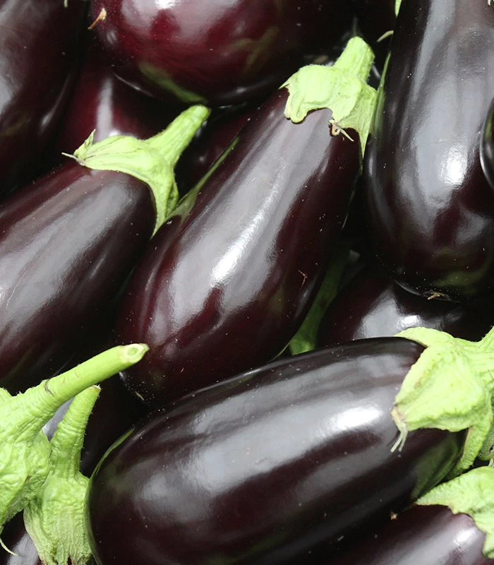 Aubergines