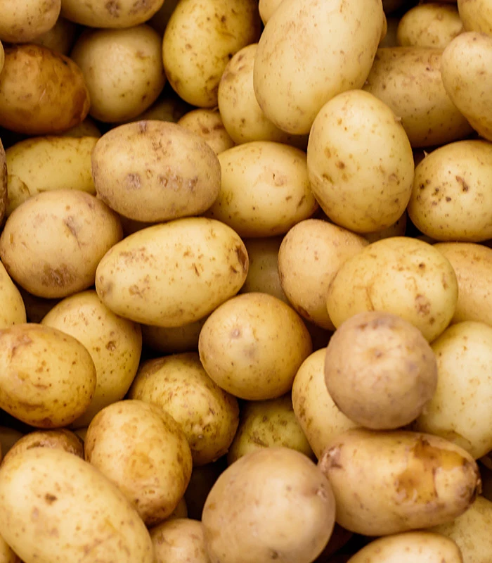 Pommes de terre nouvelles