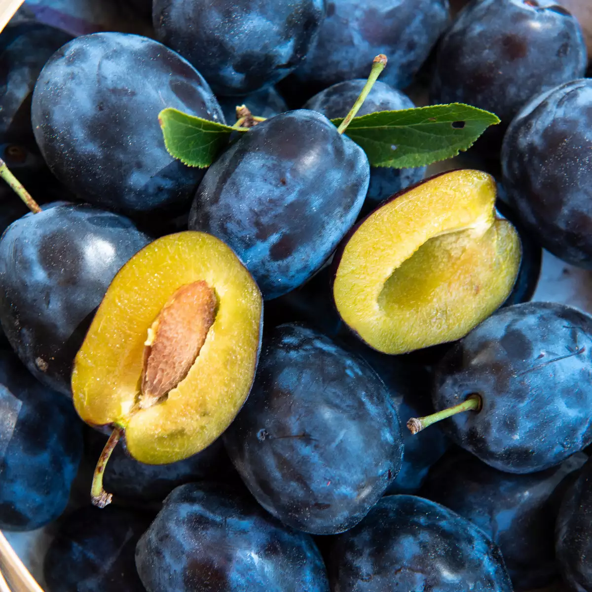 Quetsches de Lorraine